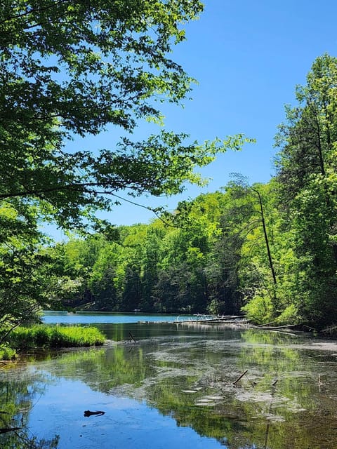 Waterfront cabin in Lake Lure/Riverbend Community. Sleeps 10