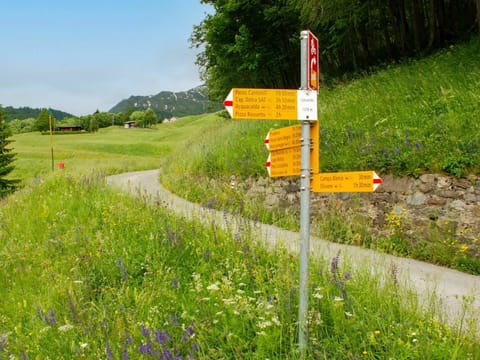 Plant, Flower, Sky, Natural Landscape, Slope, Tree, Land Lot, Thoroughfare, Grass, Grassland