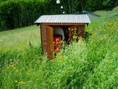 Plant, Flower, Plant Community, Green, Natural Landscape, Land Lot, Biome, Grass, Tree, Wood