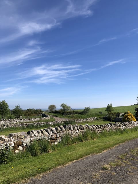 View from the garden to the sea