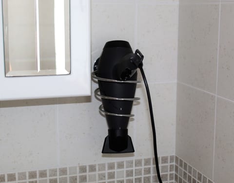 Professional Hair dryer 