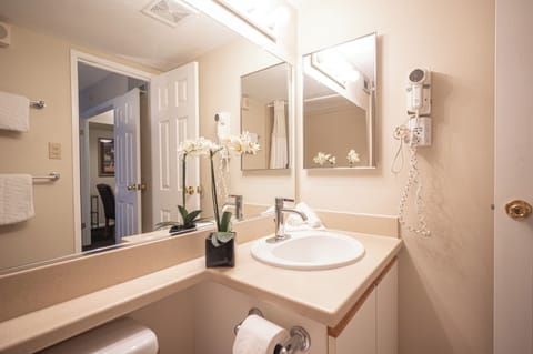 Executive Penthouse | Bathroom | Combined shower/tub, towels