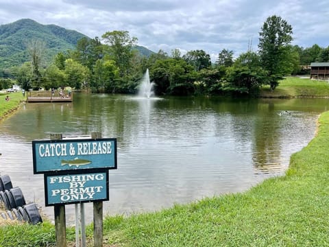 5min drive from cabin next to pool. Permit is included with your stay! Bait and poles available for rent/purchase