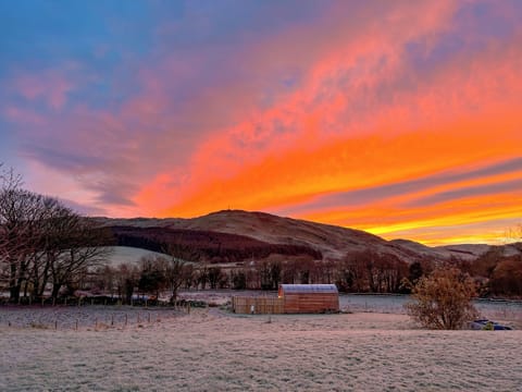 Setting | Heather - Freedom Fields, Straiton, near Maybole