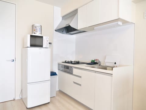 Family Apartment, Non Smoking | Private kitchen | Fridge, microwave, stovetop, electric kettle