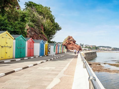 Surrounding area | WavesGreat Cliff, Dawlish