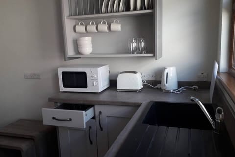 Apartment | Private kitchen | Fridge, microwave, oven, electric kettle