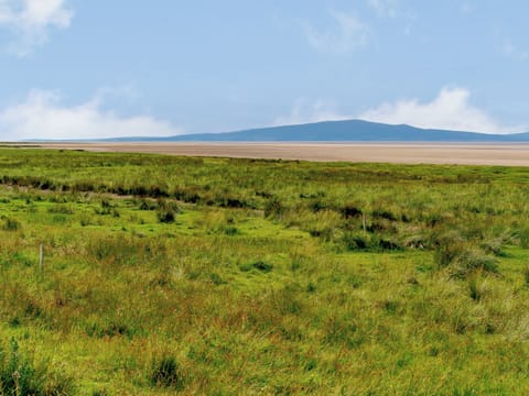 Surrounding area | The Barnacle Goose - North Plain Farm, Bowness-on-Solway