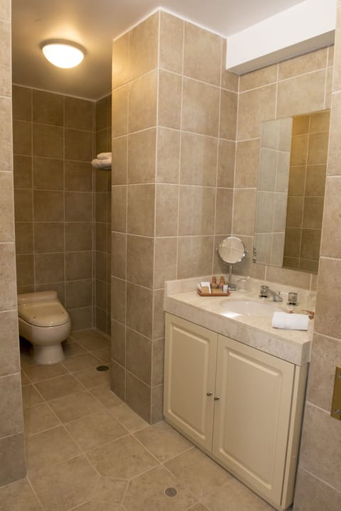 Suite | Bathroom | Shower, free toiletries, hair dryer, towels