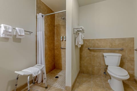 Standard Room, 1 King Bed, Accessible, Non Smoking | Bathroom | Free toiletries, hair dryer, towels