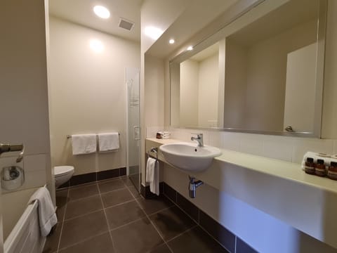 Family Suite | Bathroom | Free toiletries, hair dryer, towels