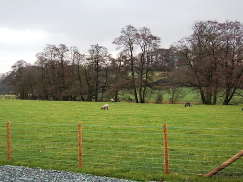 Lovely surrounding area | The Bird Bath, Wreay near Carlisle