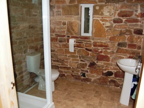 Shower room | The Bird Bath, Wreay near Carlisle