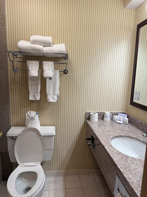 Combined shower/tub, eco-friendly toiletries, hair dryer, towels