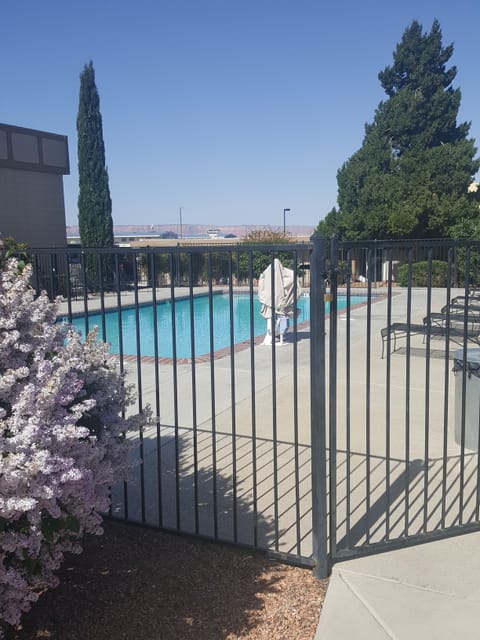 Seasonal outdoor pool, sun loungers