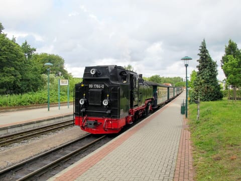 Sky, Property, Plant, Tree, Building, Land Lot, Slope, Shade, Asphalt, Wood