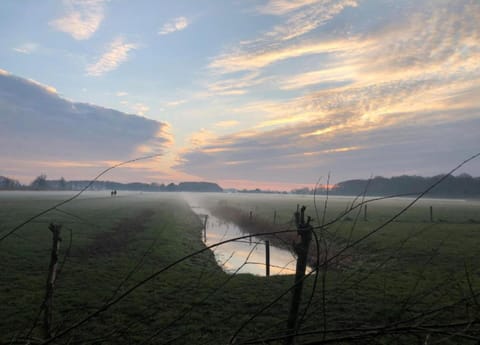 Apartment | View from property