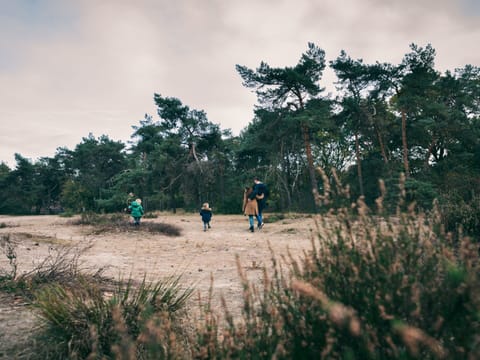 House | View from property