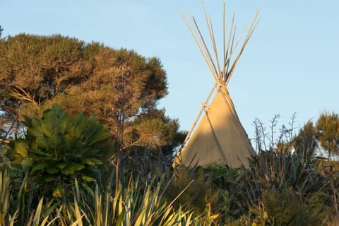 Kiwi Tipi | WiFi, bed sheets