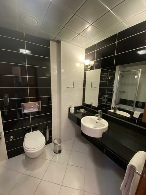 Standard Double or Twin Room | Bathroom | Bathtub, spring water tub, hair dryer, bathrobes