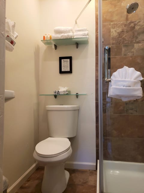 Room, 1 Queen Bed | Bathroom | Rainfall showerhead, designer toiletries, hair dryer, towels