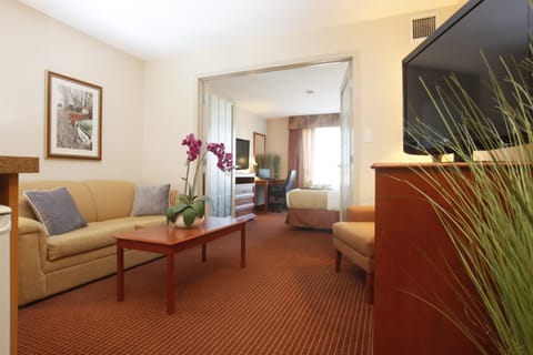 Deluxe Suite, 1 King Bed with Sofa bed | Living area | 42-inch flat-screen TV with satellite channels, TV