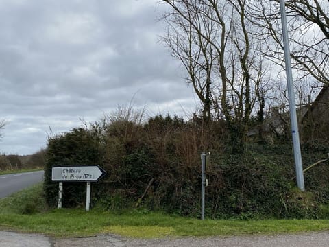 Plant, Cloud, Sky, Natural Landscape, Branch, Road Surface, Asphalt, Tree, Thoroughfare, Road