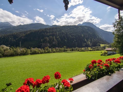 View from Holiday Home [summer]