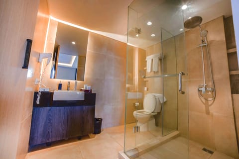 Shower, free toiletries, hair dryer, slippers