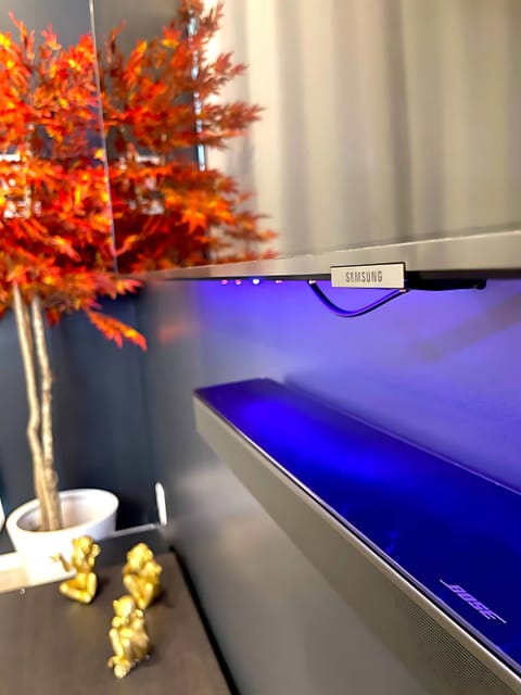 Bose Stereo Sound Installed In The Living Room