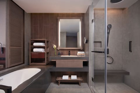 Separate tub and shower, hydromassage showerhead, free toiletries