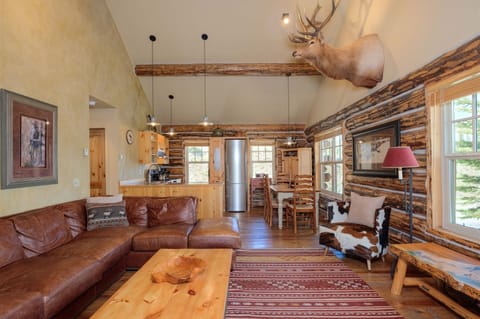 Beautiful luxury cabin w/ vaulted ceiling, hardwood floors, gas stove/fireplace