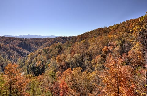 Fall view from cabin