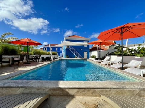 Outdoor pool, pool umbrellas, sun loungers