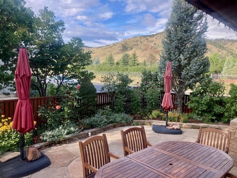 Views from the Patio