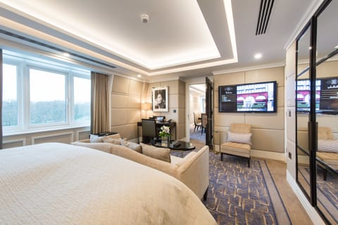 Suite, 1 King Bed, Park View | City view