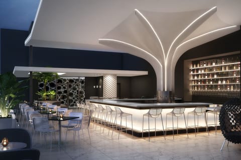 2 bars/lounges, rooftop bar