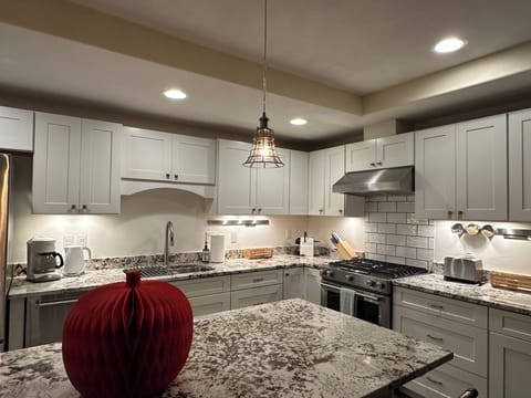Kitchen with high end appliances and all you need to cook and serve a meal.