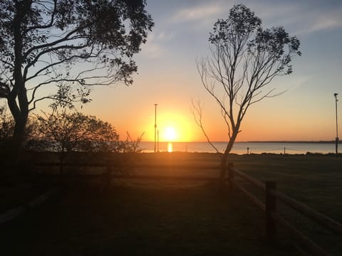 Sunrise from the garden