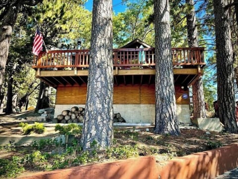 Over 50 Large Yosemite Pines and California Oaks surround the tree house