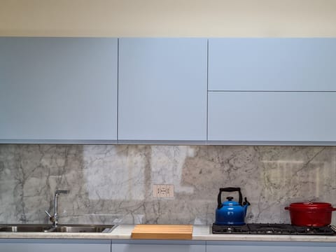 Kitchen wall with induction stove, dish washer, oven, eashing machine and frid  