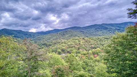 Great Smoky Mountains surround the property!