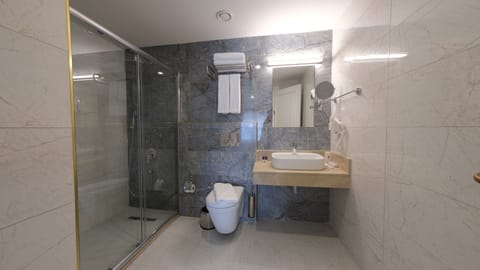 Deluxe Room | Bathroom | Shower, rainfall showerhead, free toiletries, hair dryer