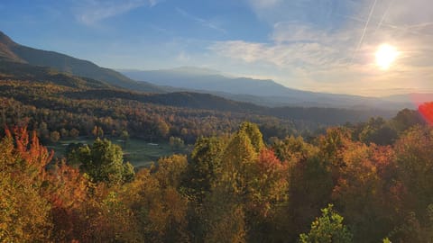 View from Deck Nov 1 2021