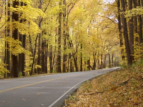 Entrance Road, Weber Rd in Fall
