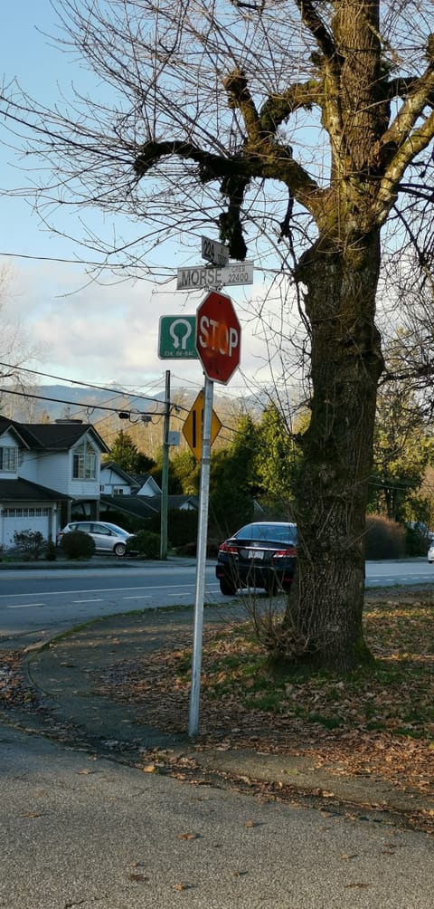 224 morse crescent street 