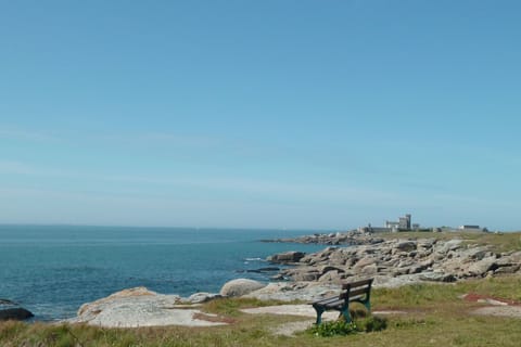 Region [summer] (&gt;5 km)