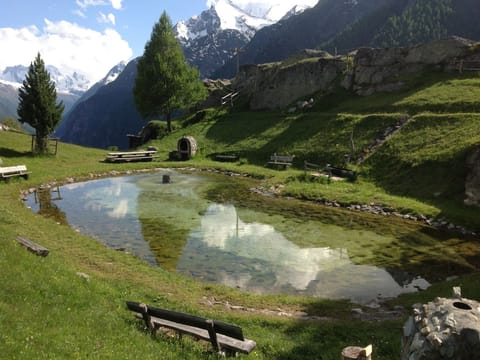 Region [summer] (>5 km)