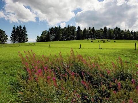 Region [summer] (>5 km)