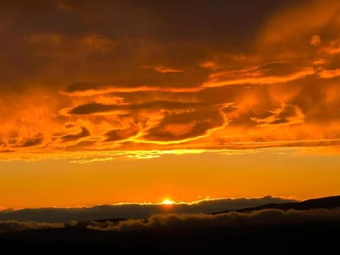 Region [summer] (>5 km)